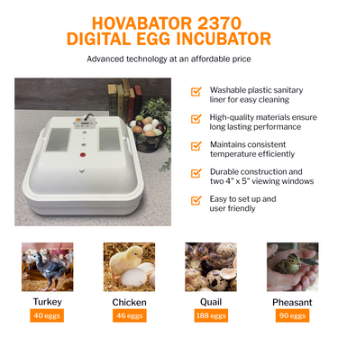 Hova-Bator 2370 Circulated Air Incubator with Electronic Thermostat